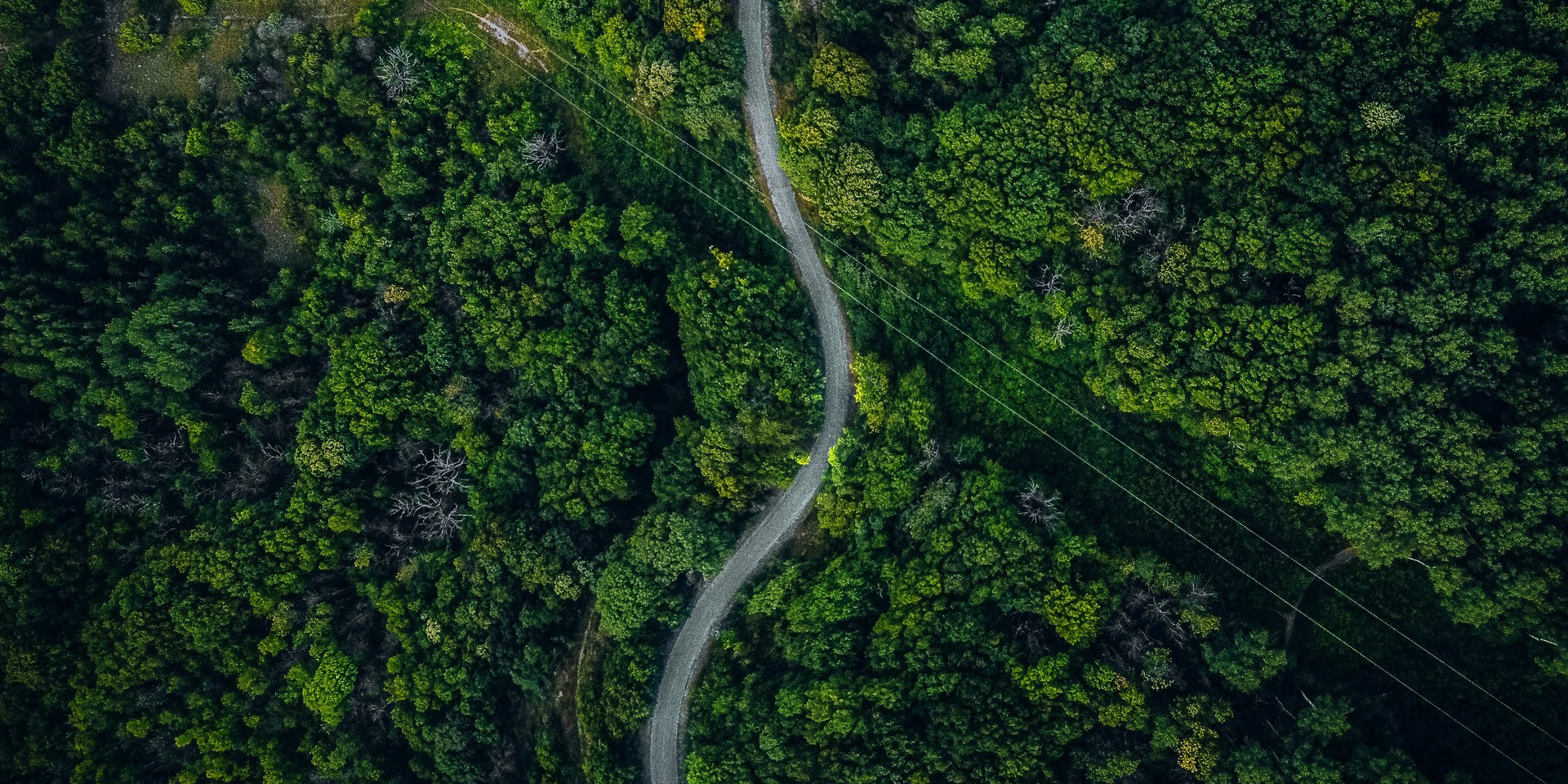 Responsibility & Sustainability