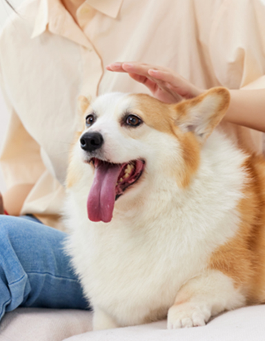 Veterinary treatment